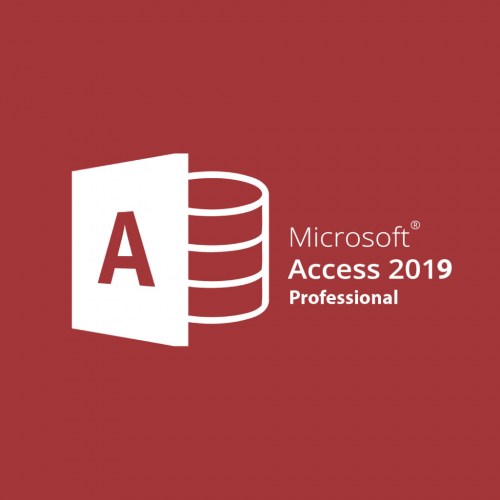 Access Profesional 2019