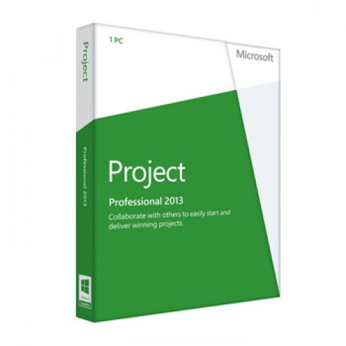 Project Professional 2013